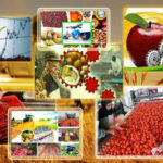 لرستان در آزمون توسعه؛ آیا نقشه‌راه و سرمایه ۴۰ همتی به ثمر می‌نشیند؟