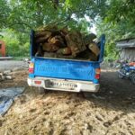 محموله‌های چوب و زغال قاچاق در مازندران توقیف شد