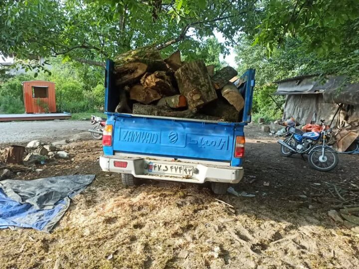 محموله‌های چوب و زغال قاچاق در مازندران توقیف شد