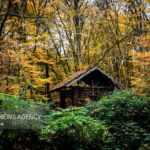 مدیریت پایدار هیرکانی با مشارکت مردم محقق می‌شود