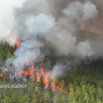 مرزبانی: حریق یک هکتاری در اراضی جنگلی خسرومحله آستارا مهار شد