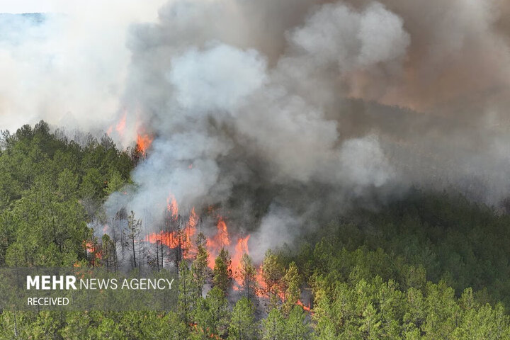 مرزبانی: حریق یک هکتاری در اراضی جنگلی خسرومحله آستارا مهار شد