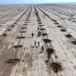 مشارکت ۲۰۰ میلیارد تومانی شرکت ملی نفت در طرح بیابان‌زدایی قم