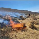 مهار آتش‌سوزی در جنگل‌های مرزن‌آباد؛ لاشبرگ‌ها طعمه حریق شدند