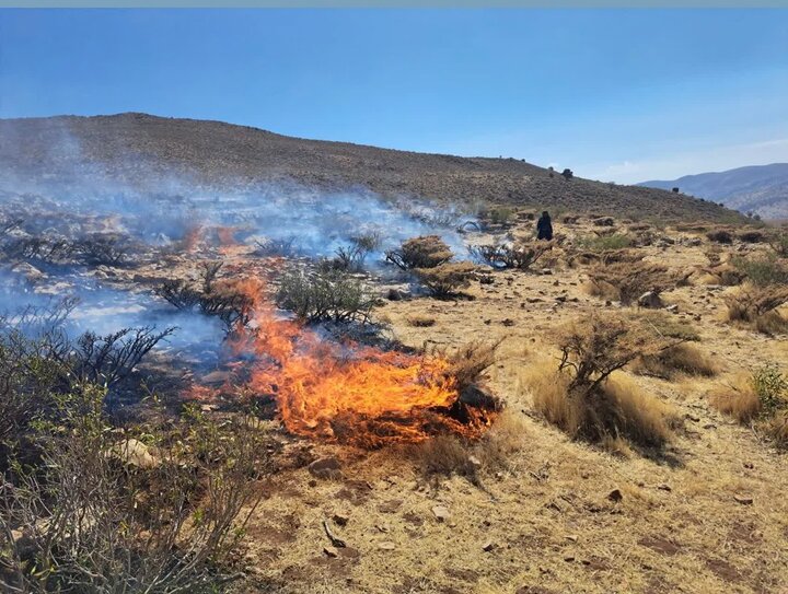 مهار آتش‌سوزی در جنگل‌های مرزن‌آباد؛ لاشبرگ‌ها طعمه حریق شدند
