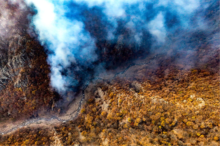 مهار حریق جنگلی در منطقه واز چمستان نور؛ ۳ هکتار سوخت