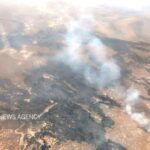 مهار سریع حریق در محور جنگلی رامسر - جواهرده