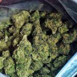 ناکامی قاچاقچی مواد مخدر در انتقال ۴۷ کیلوگرم ماده مخدر گراس