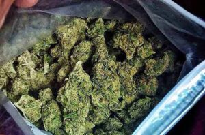 ناکامی قاچاقچی مواد مخدر در انتقال ۴۷ کیلوگرم ماده مخدر گراس