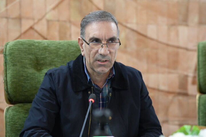 نجفی: رونق تولید روستایی با پرداخت تسهیلات کم‌بهره دنبال می‌شود