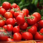 نقش گوجه فرنگی در سلامت لثه