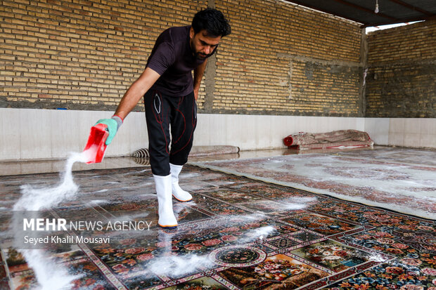 همه قالیشویی‌های همدان موظف‌ به رعایت نرخ‌نامه مصوب هستند