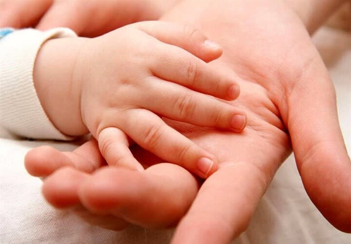 همه‌چیز درباره IVF؛ شانس موفقیت، هزینه‌ها و واقعیت‌ها