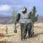 ویسی: تحقق طرح یک میلیارد درخت نیازمند همکاری همه دستگاه‌ها است