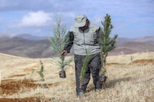 ویسی: تحقق طرح یک میلیارد درخت نیازمند همکاری همه دستگاه‌ها است