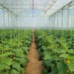 پروژه های عمرانی فریدن با  اعتبار ۱۸۷ میلیارد تومان بهره برداری شد