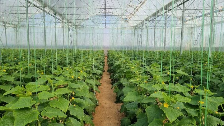 پروژه های عمرانی فریدن با  اعتبار ۱۸۷ میلیارد تومان بهره برداری شد