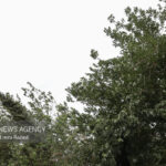 کاهش محسوس دما و وزش باد شدید از امروز در استان ایلام