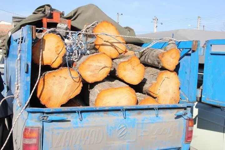 کشف و توقیف بیش از ۴۰ تن چوب قاچاق در هوراند