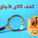 کشف ۲۶۰۰ صفحه برش خارجی به ارزش ۴۰ میلیارد ریال در فردیس