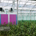 ۱۴ پروژه عمرانی در دامغان افتتاح شد 