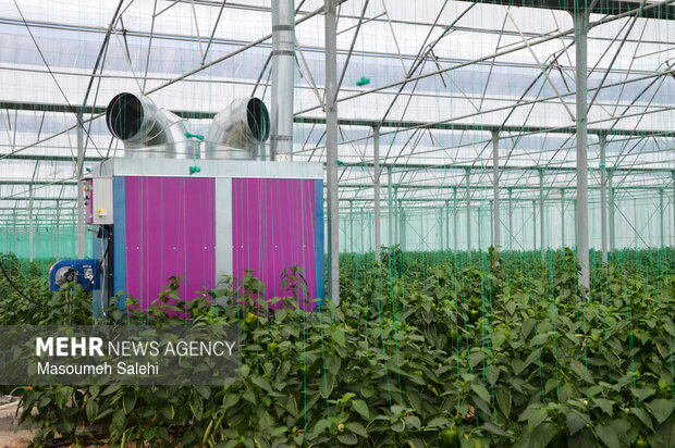 ۱۴ پروژه عمرانی در دامغان افتتاح شد 