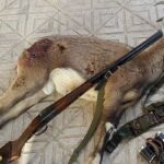 ۴۰ سال حبس برای سه شکارچی حیات‌وحش در چهارمحال‌وبختیاری