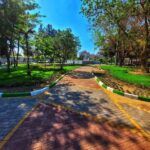 ۴۰۰ میلیارد ریال به توسعه فضای سبز روستاها در مرکزی اختصاص یافت