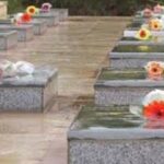 حیدری: استان بوشهر ۳ شهید جاویدالاثر دارد