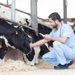 شناسایی ۹۶ کانون روستایی با شیوع بالای بیماری تب مالت در همدان