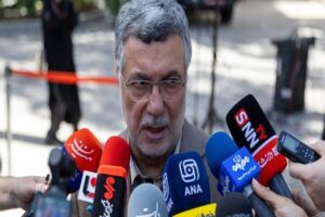 ظفرقندی: پوشش بیمه ای افزایش قیمت دارو باید تقویت شود