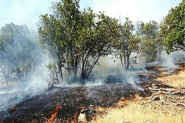 آمادگی دستگاه‌های مریوان برای مقابله با آتش‌سوزی‌ مراتع در تابستان