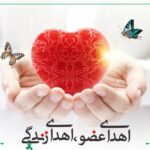 اهدای عضو در منطقه کاشان و آران و بیدگل ۲ برابر شده است