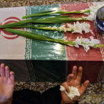 بانوی بوشهری پس از تحمل جراحات ناشی از جنگ اقتدار رمضان به شهادت رسید