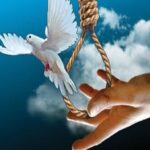 بخشش قاتل پس از ۱۰ سال حبس در قلعه‌ گنج