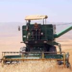 برداشت ۱۵ هزار تنی جو از مزارع میامی؛ بهره‌گیری از کمباین‌های مدرن