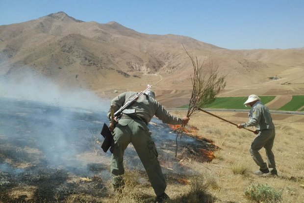 «بلوطستان» نگران تابستان؛ آتش در کمین است!