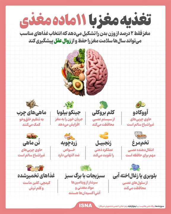 تغذیه مغز با ۱۱ ماده مغذی+اینفوگرافیک