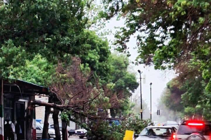 تندباد شدید در بناب خسارت به بار آورد