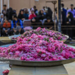 تولید ۳۰ هزار لیتر گلاب در سیستان و بلوچستان