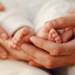 تکاپوی جهادی در مشهد؛ الگوی موفق ایران برای جوانی جمعیت