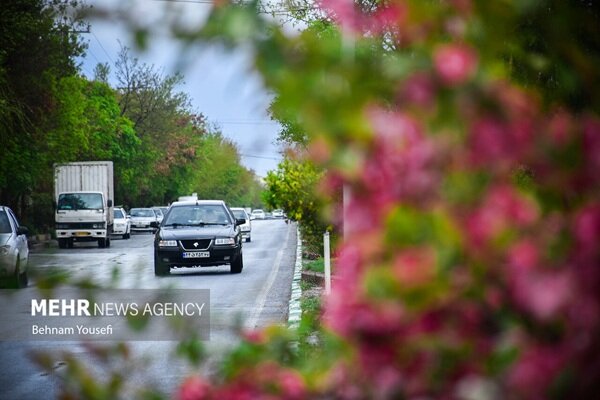 داداشی: بارش شدید باران از صبح چهارشنبه در خراسان شمالی آغاز می‌شود
