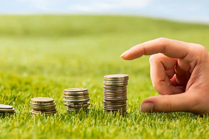 دارابی: ۲۶۰ میلیارد ریال تسهیلات اشتغالزایی در شیروان پرداخت شد