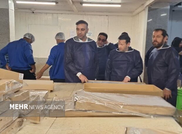 رئیس کل دادگستری بوشهر: تاب‌آوری واحدهای تولیدی افزایش یابد