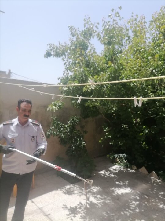 زندهگیری دو حلقه مار از منازل مسکونی در خرمآباد+ عکس زندهگیری دو حلقه مار از منازل مسکونی در خرمآباد+ عکس