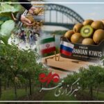 شناسنامه‌دار شدن محصولات کشاورزی؛ گامی اساسی برای سلامت غذا