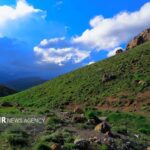 عشایر و دامداران با رعایت تقویم چرا از تخریب مراتع جلوگیری کنند