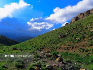 عشایر و دامداران با رعایت تقویم چرا از تخریب مراتع جلوگیری کنند