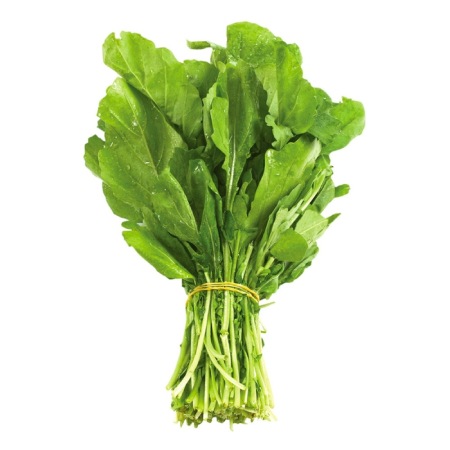 از خواص شاهی چه می دانید