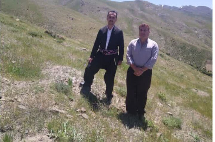 موفقیت طرح احیای مراتع پایگلان؛بیش از ۹۰ درصد عرصه کپه‌کاری شده سبز شد